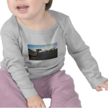 Camellos, Lanzarote Camiseta