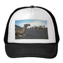 Camellos, Lanzarote Gorro