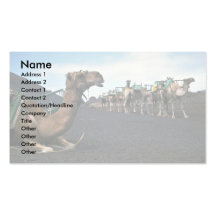 Camellos, Lanzarote Tarjeta De Visita