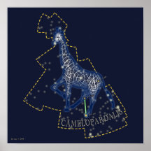 Camelopardalis (poster)