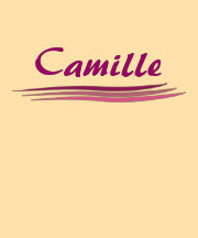 Camilo de encargo camisetas