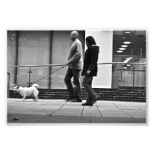 Caminando la fotografía de la calle del perro