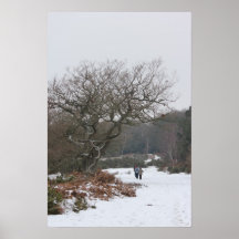 Caminante del invierno impresiones