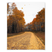 Camino de Aspen Arte Con Fotos