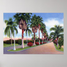 Camino de Lakeland la Florida Frances Impresiones
