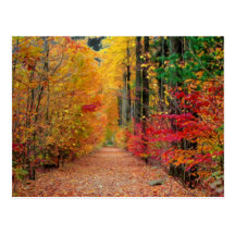 Camino del otoño, postal