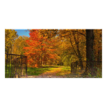 Camino del otoño tarjeta personal con foto