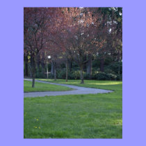 Camino del parque posters