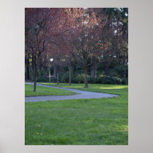 Camino del parque posters
