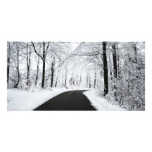 Camino forestal del invierno tarjetas fotograficas personalizadas