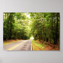 Caminos forestales poster