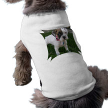 Camisa blanca del mascota del perrito del boxeador camisas de mascota