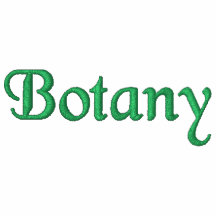 Camisa bordada botánica