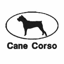 Camisa bordada Corso oval del bastón Polo Enbordado