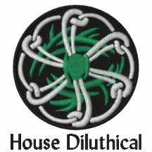 Camisa bordada Diluthical 1 de la casa