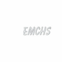 Camisa bordada para mujer de EMCHS Polo Bordado