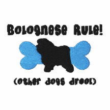 Camisa bordada regla boloñesa (camiseta)