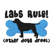 Camisa bordada regla de los laboratorios (polo)