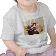 Camisa del bebé del trío de los gatitos