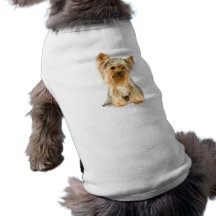 Camisa del mascota del perrito de Yorkie Camisas De Mascota