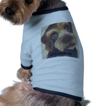 Camisa del perrito de AMADEUS Ropa Macota