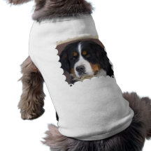 Camisa del perro de Berner Sennenhund Ropa De Mascota