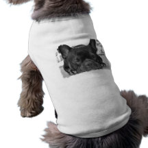 Camisa del perro del dogo francés prenda mascota