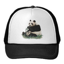CAMISA DEL VUELO CONCHORDS HBO DEL GORRA BRET DE L