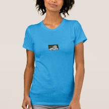 camisa feminina camisetas