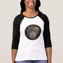 Camisa ligera del círculo de los fuegos artificial