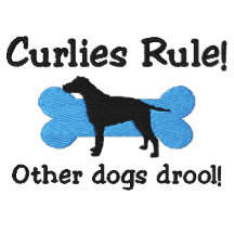 Camiseta bordada regla de Curlies