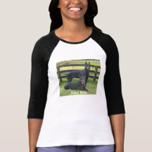 Camiseta de las señoras de los compinches del Pins