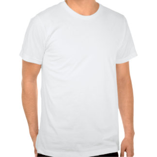 Camiseta de SHOUTcast (American Apparel)