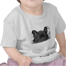 Camiseta del bebé del dogo francés