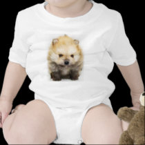 Camiseta del bebé del perrito de Pomeranian camisetas