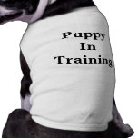 Camiseta del entrenamiento del perrito camisa de mascota