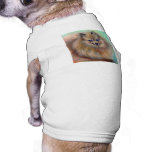 Camiseta en colores pastel del mascota de Pomerani Prenda Mascota