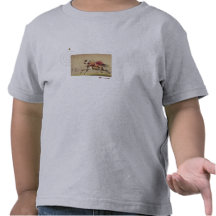 Camiseta india americana