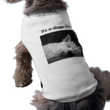 Camiseta linda del perro camisetas de perrito