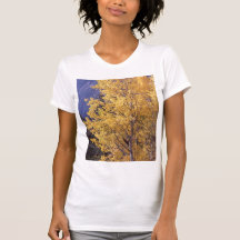 Camiseta para mujer del árbol del álamo temblón de