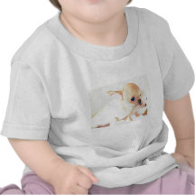 Camiseta pequenita dulce de los perritos