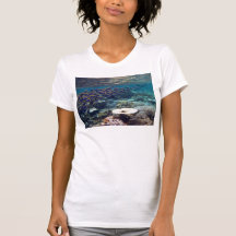 Camiseta - pescado del cirujano de los azules clar