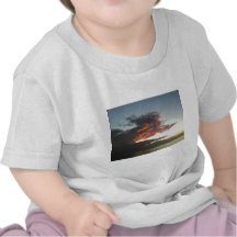 Camiseta tropical de la puesta del sol de la playa