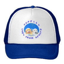 Camisetas de los perritos y regalos divinos de la  gorros bordados