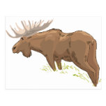Camisetas y regalos 49 de los alces postal