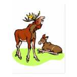 Camisetas y regalos 79 de los alces tarjetas postales