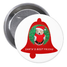 Camisetas y regalos divertidos del perrito de Sant Pin