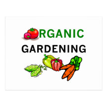 Camisetas y regalos que cultivan un huerto orgánic tarjetas postales