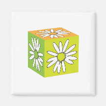 Camomile Cube Magnets