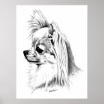 Campeón de la chihuahua de Longcoat Impresiones